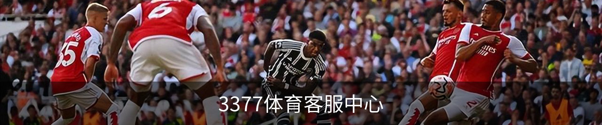 3377体育客服中心