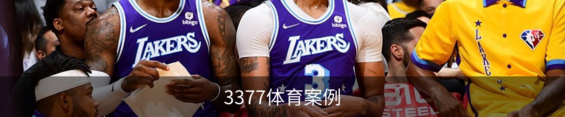 3377体育案例